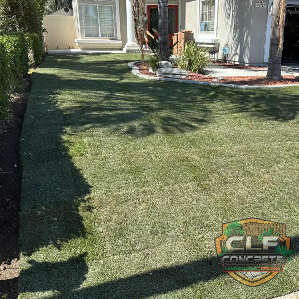 New sod installation landscaping project