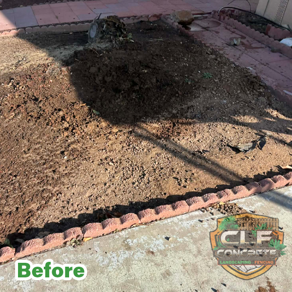 New sod installation landscaping project
